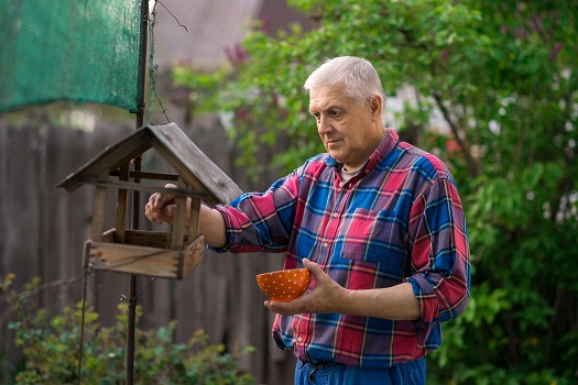 DIY Bird Feeders Seniors Can Create in Ambience, TX